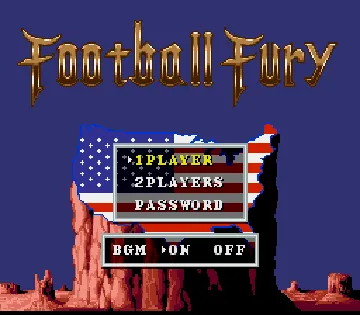 Football Fury (USA) screen shot title